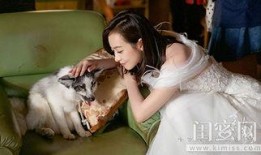 宋茜爆料结局视频大全集,揭秘视频大全集背后的惊人真相