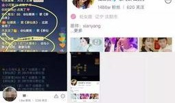 娜美爆料仙家视频播放,播放量惊人引热议