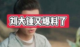 刘大锤9月底爆料视频在线观看,揭秘幕后真相，精彩内容抢先看