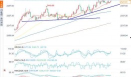 今日视线爆料金价,视线爆料揭示市场动态