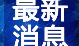 蛇姐最新爆料网站视频,网站视频内容深度解析
