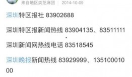 最近的新闻爆料电话,最新爆料电话揭露惊天秘密