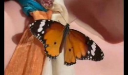 程潇爆料游玩视频,欢乐时光与幕后花絮大公开