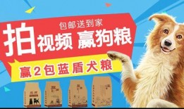超级狗粮爆料视频在线观看,独家爆料视频带你领略宠物美食世界