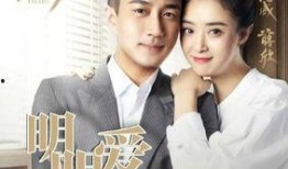 继承人电视剧在线观看,家族秘事揭秘，在线观看情感纠葛