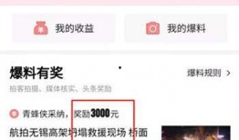 廉江头条最新爆料,最新爆料事件深度解析