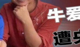 王霖团队爆料最新视频在线观看,揭秘幕后真相，在线观看不容错过！