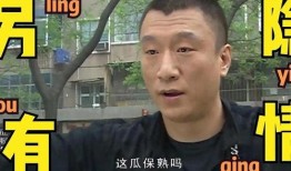 吃瓜娱乐老板是哪里人,吃瓜娱乐老板的神秘身世与传奇故事