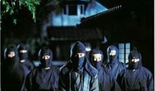 女忍者手游最新爆料,神秘忍者登场，全新玩法等你解锁！