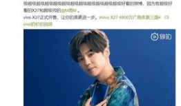 苏大强爆料鹿晗事件视频,鹿晗事件视频幕后真相曝光