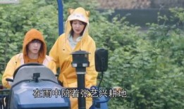 陈大锤最新爆料视频播放,揭秘幕后真相，精彩瞬间回顾