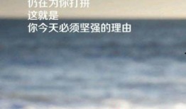 正能量励志视频爆料热线