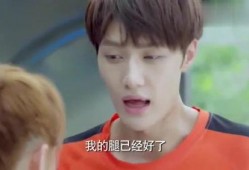 在线观看虐少爷,揭秘网络虐恋背后的心理奥秘