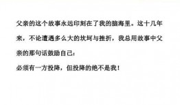 爆料小故事素材视频网页,爆料小故事素材视频背后的故事