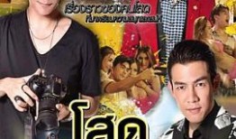 鸟国大片在线观看,在线视听盛宴，尽享自然之美