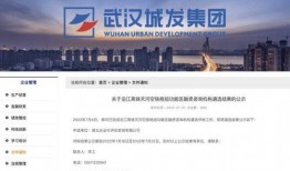 黄陂最新爆料消息,揭秘事件背后惊人真相