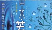 芙蓉剧情爆料最新,揭秘宫廷秘史，揭开神秘面纱