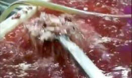 外卖员爆料排骨视频,视频揭露排骨背后的秘密