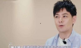 林志颖有惊无险爆料视频,勇敢爆料背后的惊心动魄