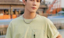 网红博主爆料任豪视频,网红博主爆料背后的真相揭晓