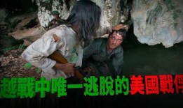 越战归来在线观看,战火硝烟中的英雄传奇