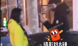 刘大锤9月底爆料视频在线观看,揭秘幕后真相，精彩内容抢先看