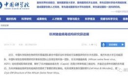 病毒爆料最新消息今天,病毒变异与传播途径揭秘”