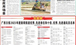 横栏最新爆料新闻报道,揭秘事件背后惊人真相