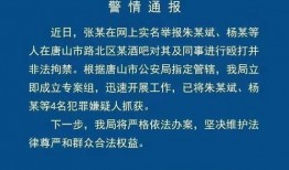 唐山拘留爆料最新消息,事件真相与进展全解析