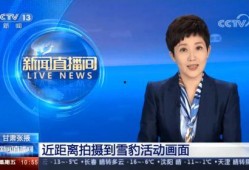 张掖记者爆料新闻最新,揭秘当地重大事件背后真相