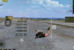 最新僚机爆料软件下载