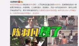 真实历史爆料视频大全,真实爆料视频大全深度解析
