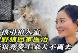 引狼入室 在线观看